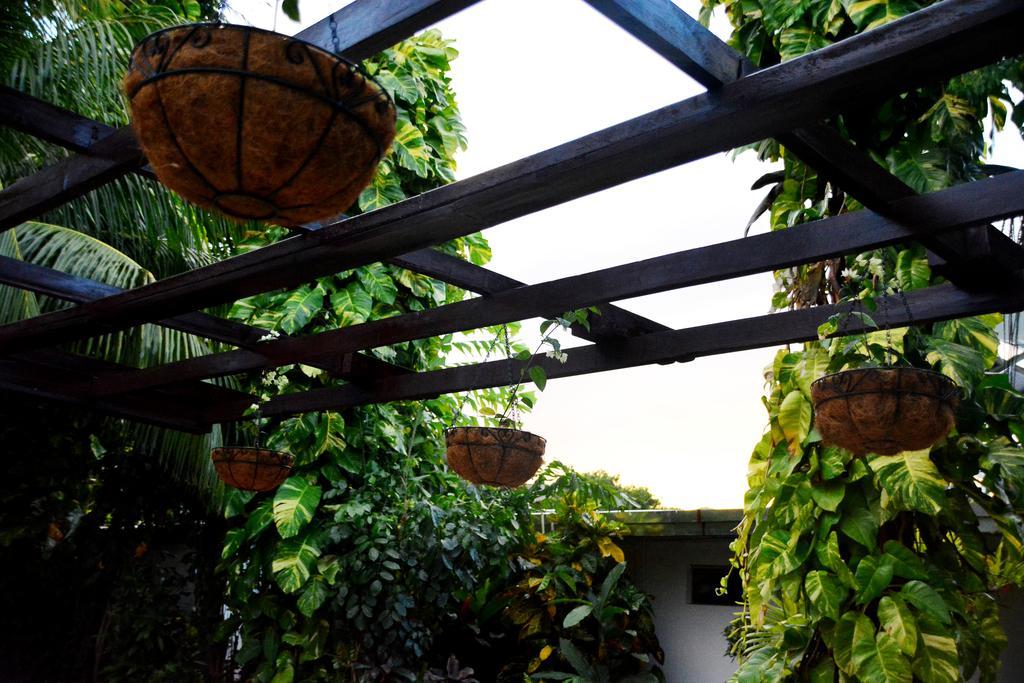 Hotel Europeo Managua Exterior photo